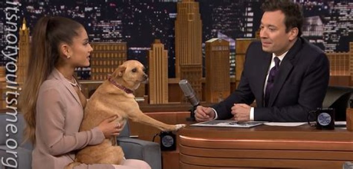 Ariana Grande Dogs - How To Discuss