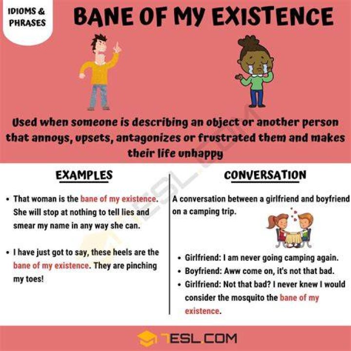 Bane Of My Existence Meaning