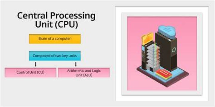 Central processing unit (CPU) - How To Discuss
