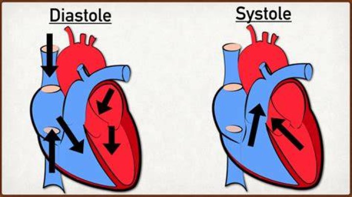 Diastole definition - How To Discuss