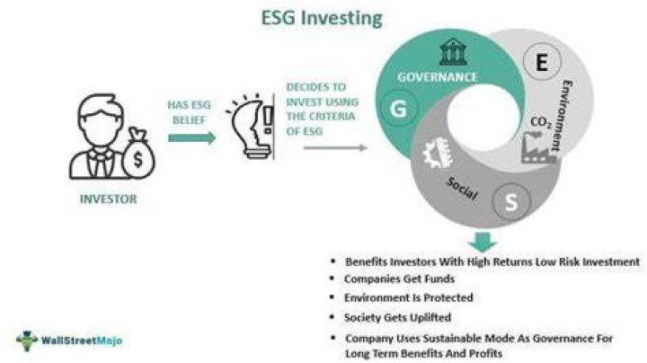 Esg investing definition - How To Discuss