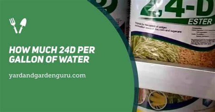 How much 2 4 d per gallon