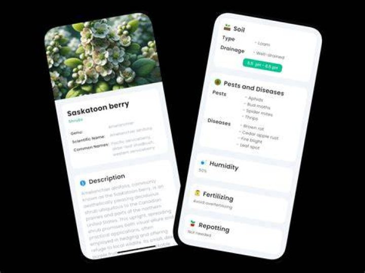 Leaf identification app - How To Discuss