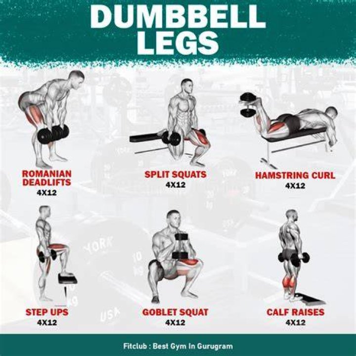 Legs and back workout - How To Discuss