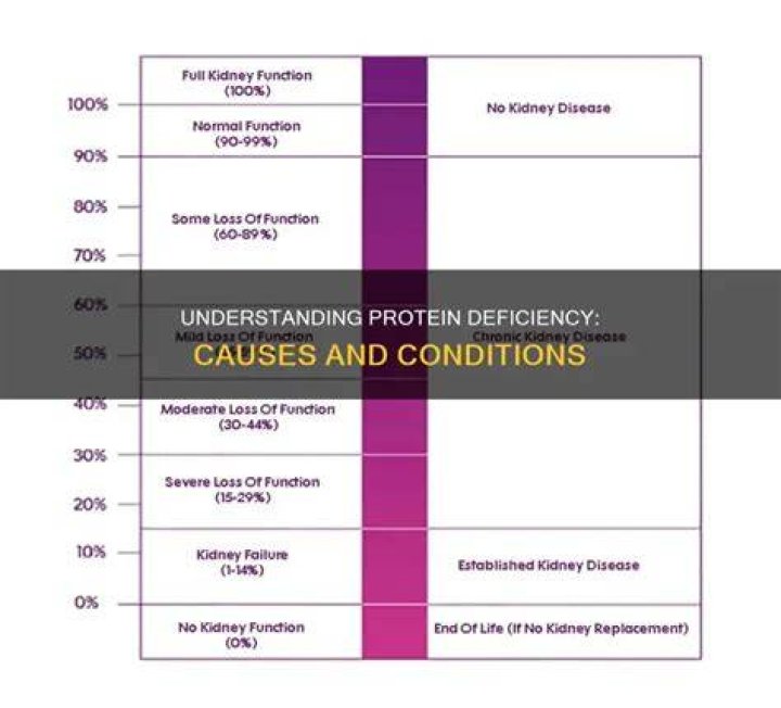 Low protein levels - How To Discuss
