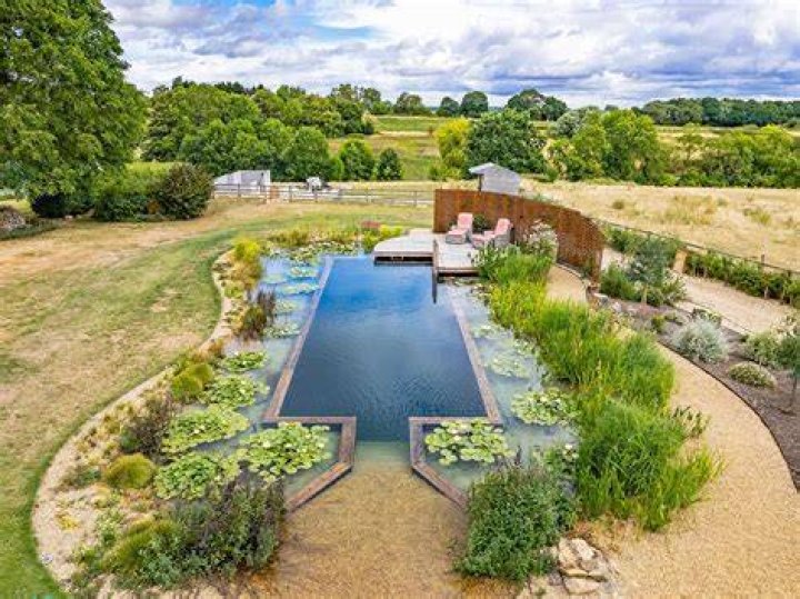 Natural pool - How To Discuss