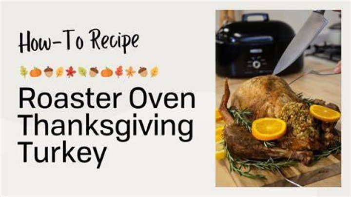 Nesco Roaster Oven - How To Discuss