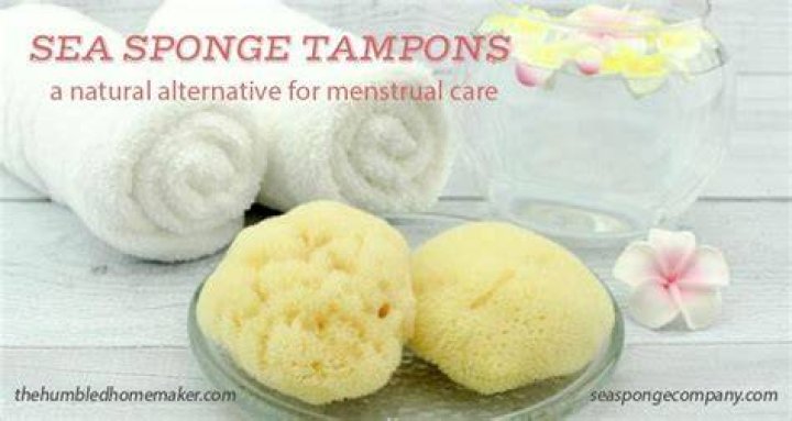 Sea Sponge Tampons Walmart - How To Discuss