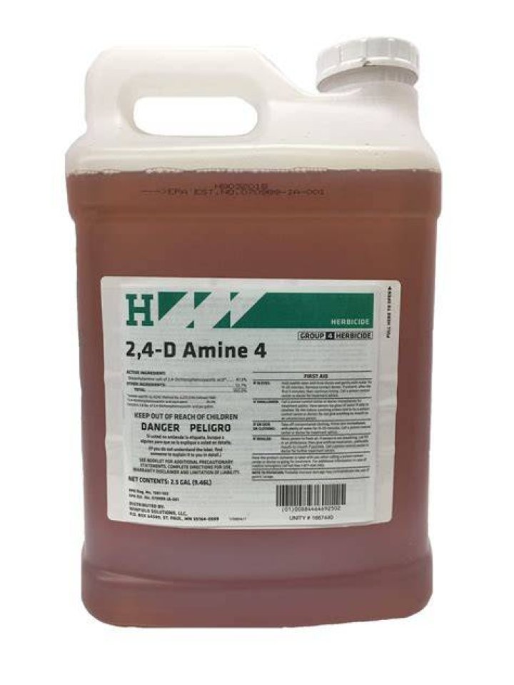 Shredder Amine 4 - How To Discuss