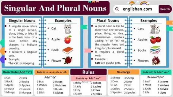 Singular and plural nouns - How To Discuss