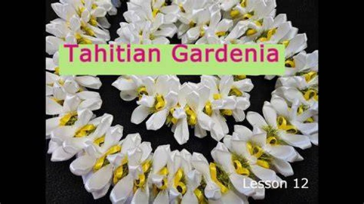 Tahitian gardenia - How To Discuss