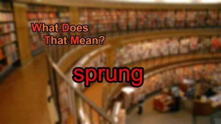 What Does Sprung Mean - How To Discuss