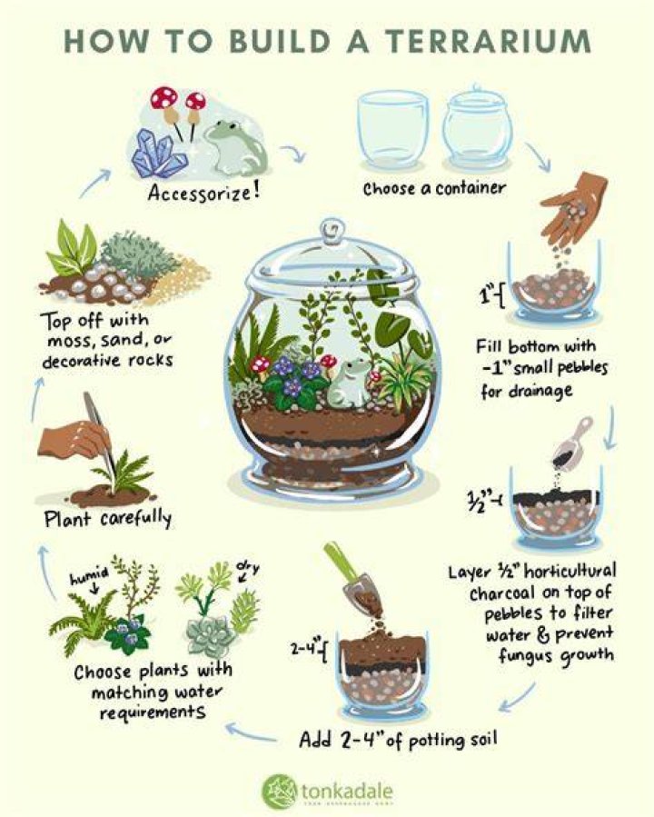 What is a terrarium - How To Discuss