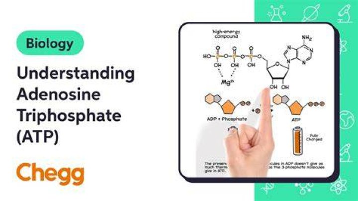 What is Sodium Tripolyphosphate? - How To Discuss