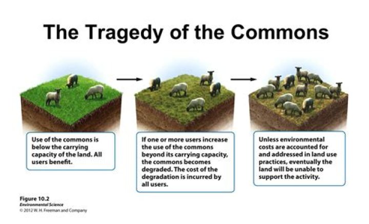 What is the tragedy of the commons