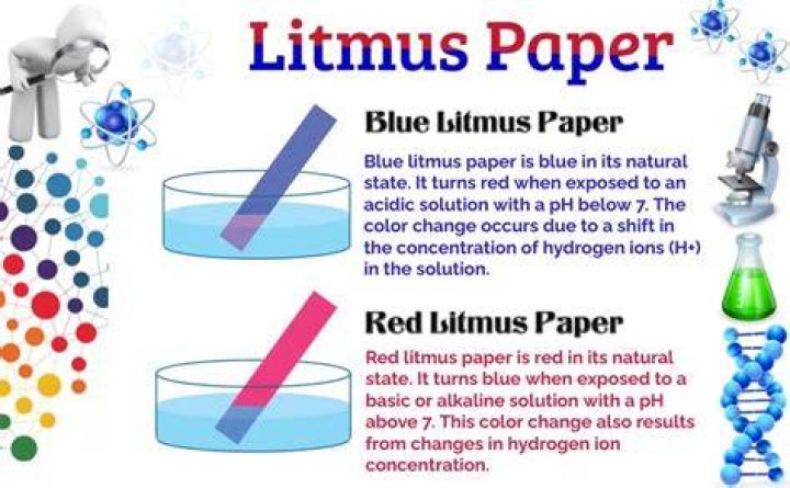 What Turns Litmus Paper Red